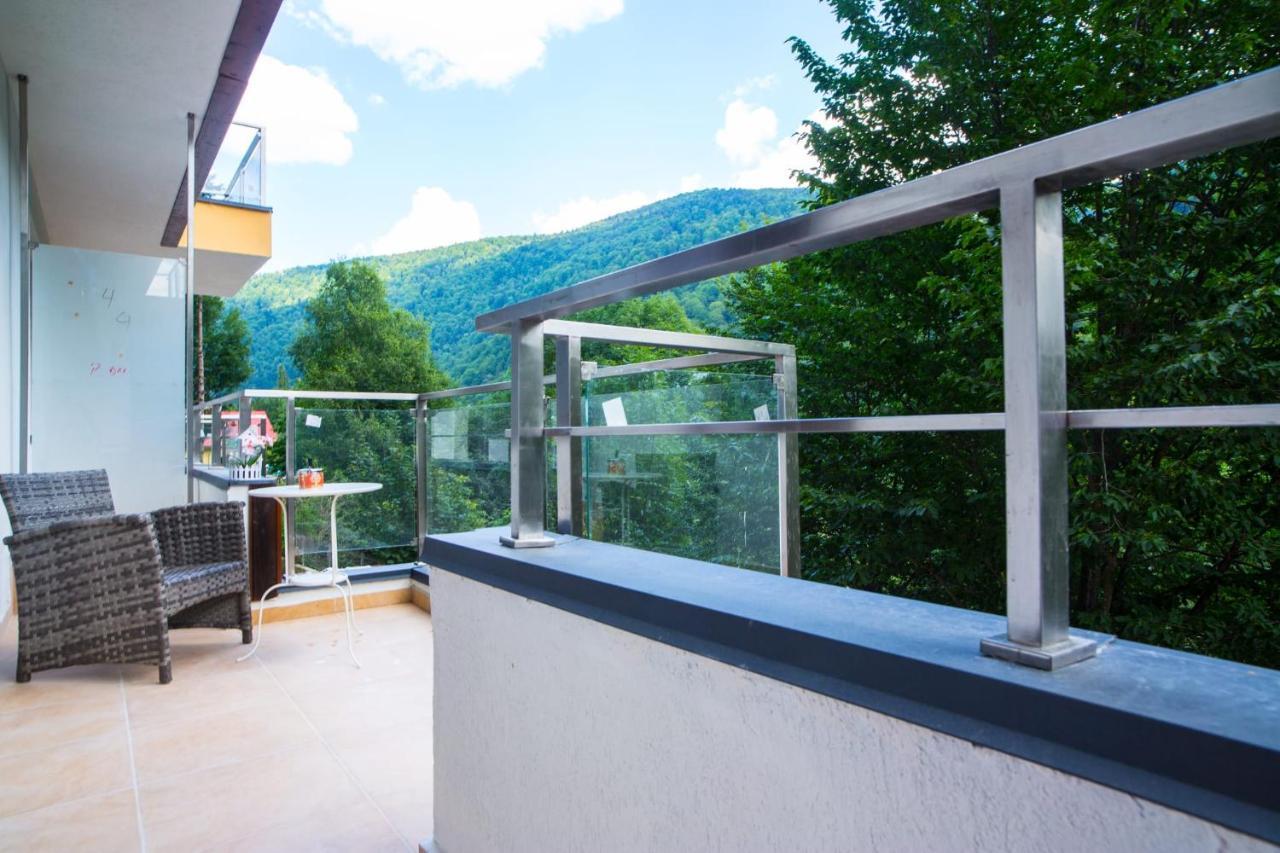 Vlad Apartments -Colina Marei Sinaia Exterior foto
